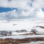 20150614 172924 Hardangervidda 800